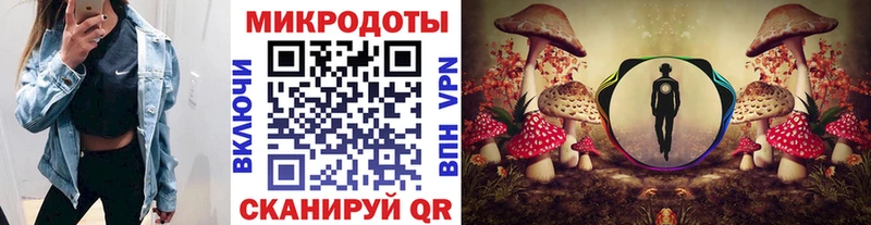 гидра онион дарнет шоп Зверево Псилоцибиновые грибы Cubensis